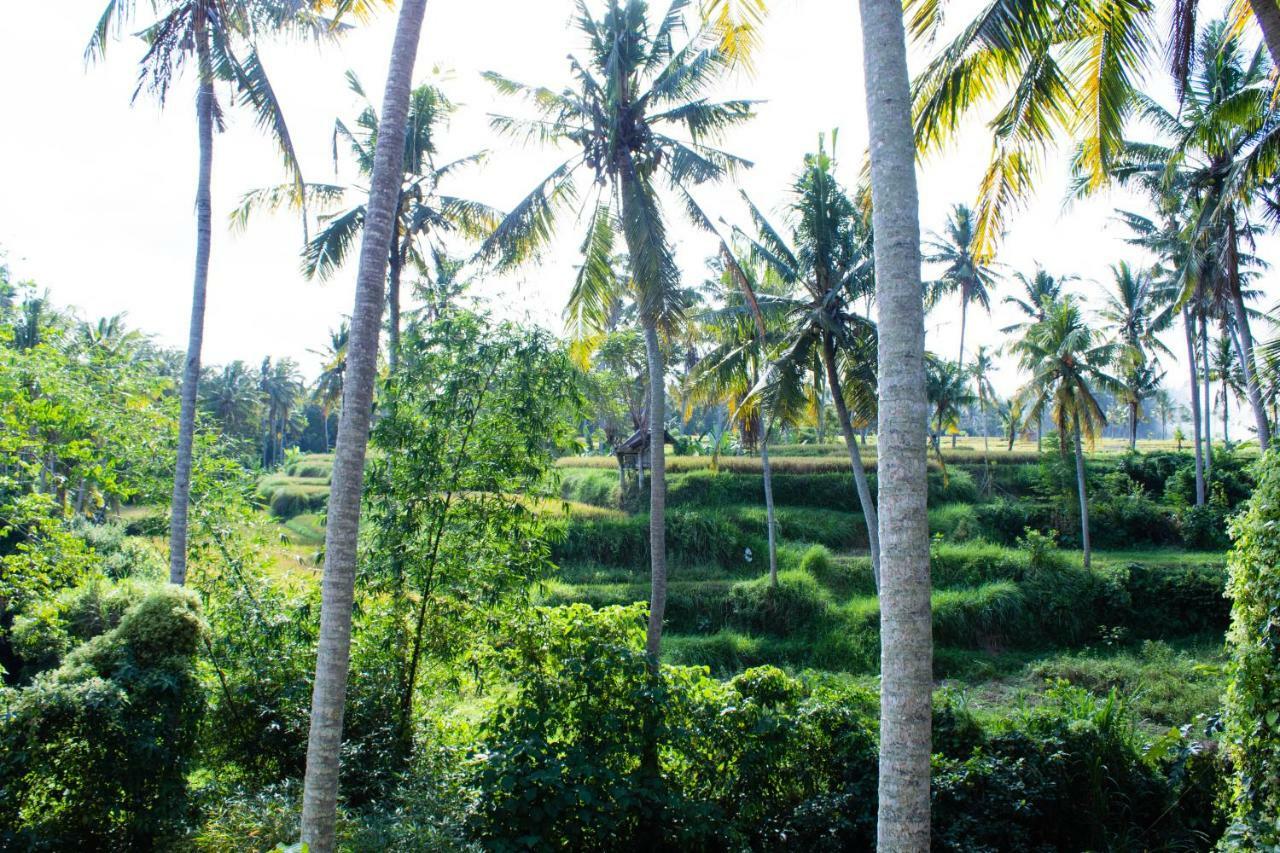 Alam Grigis Ubud Zewnętrze zdjęcie